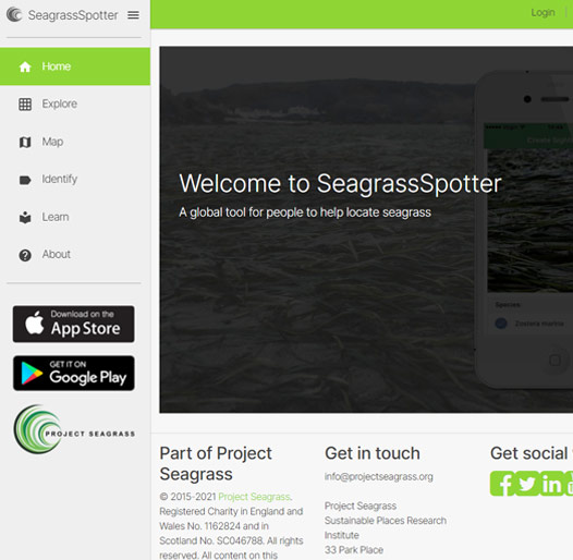 Seagrass Spotter