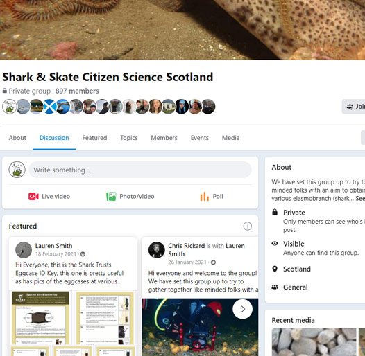 Shark & Skate Citizen Science Scotland