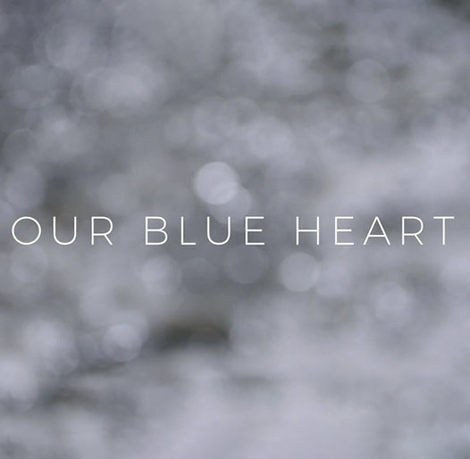 Our Blue Heart