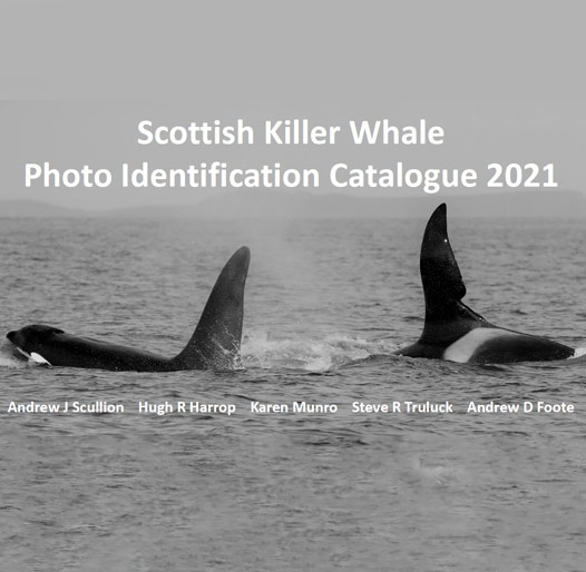 Scottish Killer Whale Photo Identification 